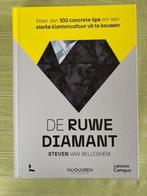 Customer Relationship Management: De ruwe diamant, Boeken, Schoolboeken, Ophalen, Nieuw, Overige vakken, Lannoo