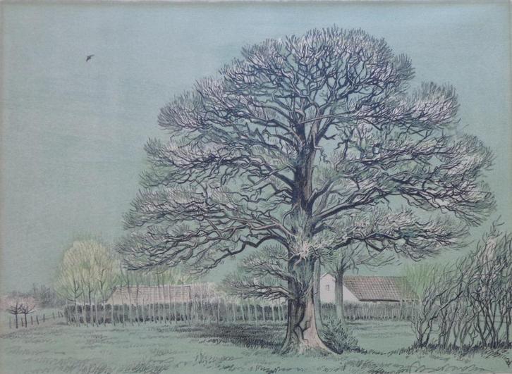 FRANK-IVO VAN DAMME / CASSENBOOM KAPELLEN  / LITHO / 46x65cm, Antiek en Kunst, Kunst | Litho's en Zeefdrukken, Ophalen of Verzenden