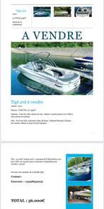 Bateau Tigé 20I, Watersport en Boten, Ophalen, Gebruikt, Binnenboordmotor, 6 meter of meer