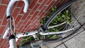 Koersfiets Panasonic  beschikbaar voor biedingen