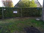 werfhekkens, Enlèvement, Utilisé