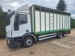 Iveco eurocargo, Auto's, Automaat, Euro 5, Iveco, Bedrijf