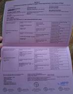 4,5 jarige pony merrie 1m43, Dieren en Toebehoren, Merrie, D pony (1.37m tot 1.48m), Gechipt, 3 tot 6 jaar