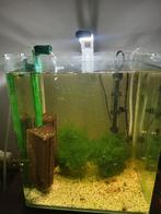 Aquarium 30 l, Enlèvement