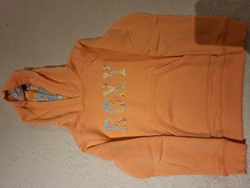 Hoodie in zeer goede staat. beschikbaar voor biedingen