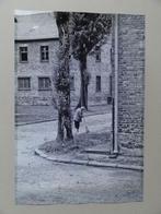 Vrouw veegt de straat in kamp Auschwitz, foto 45 x 30 cm,, Boeken, Verzenden, Tweede Wereldoorlog, Gelezen, Overige onderwerpen