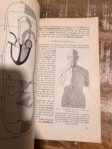 Leerboek der dierkunde, IA De Mens - De Gaay/ Heidinga beschikbaar voor biedingen