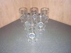 6 glazen of bierpotten Brugs Tarwebier, Enlèvement ou Envoi, Neuf, Verre ou Verres, Autres marques
