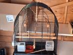 Te koop nieuwe vogelkooie, Dieren en Toebehoren, Vogels | Hokken en Kooien, Ophalen, Nieuw, Metaal, Vogelkooi