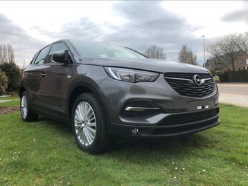 Opel Grandland X (BJ 2018 - 106772 KM)