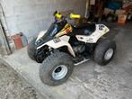Quad Suzuki Lt 80cc, Motoren