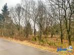 Terrain à vendre à Achouffe, Immo, 200 tot 500 m²
