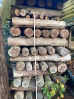 2 kuub droog Dennenhout op stam, Tuin en Terras, Brandhout, Ophalen