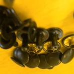 Platte Kop Spijkers - Ø11 mm - Bruin [25 stuks]!, Motoren, Verzenden