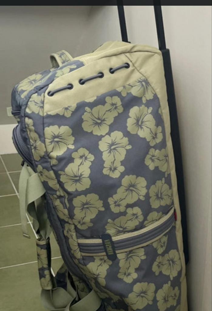 Hedgren Reistas / reiskoffer / valies 2 wielen, Handtassen en Accessoires, Tassen | Reistassen en Weekendtassen, Zo goed als nieuw