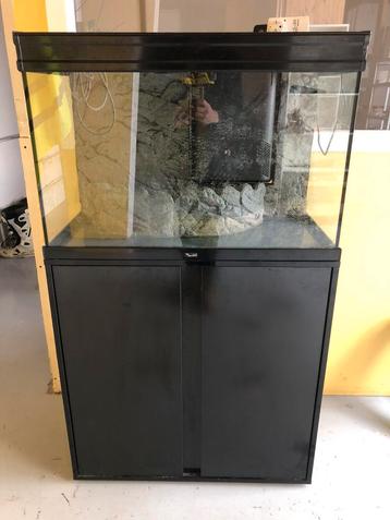 Aquarium +- 160L à vendre 