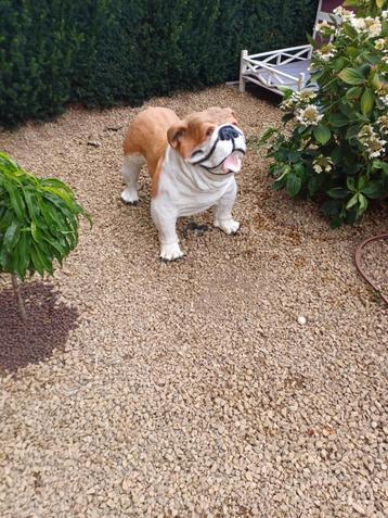 Polyester Engelse bulldog, Enlèvement, Utilisé, Autres matériaux, Animal