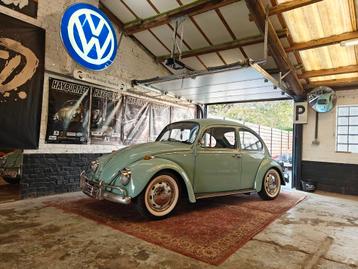 Volkswagen Kever  beschikbaar voor biedingen