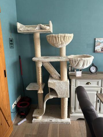 XL krabpaal maine coon