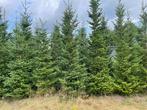kerstbomen, Diversen, Kerst, Ophalen