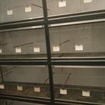4 pièces de cages d'élevage en aluminium, Enlèvement ou Envoi