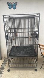 Cage, Enlèvement, Comme neuf