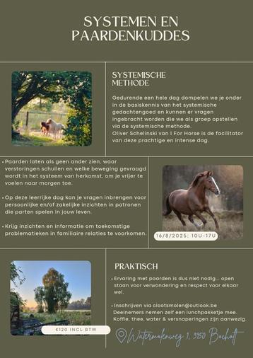Systemisch werken met hulp van paarden beschikbaar voor biedingen