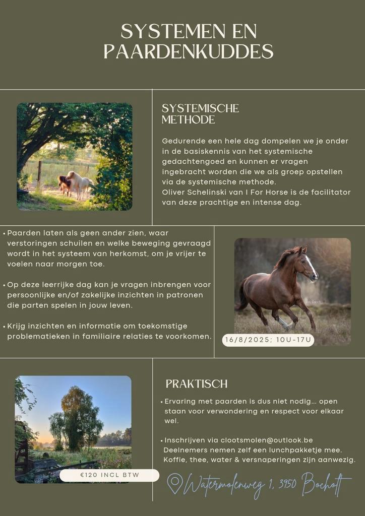 Systemisch werken met hulp van paarden, Contacten en Berichten, Evenementen