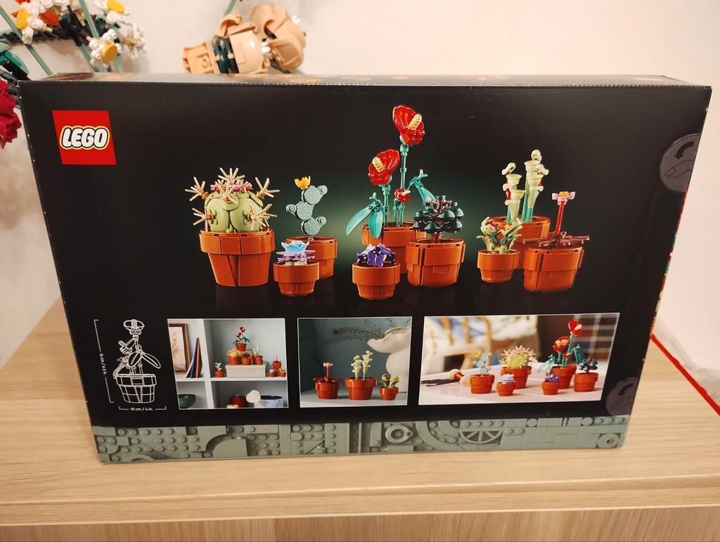 LEGO Botanical Collection 10329 Tiny Plants est plus un pot qu'une plante