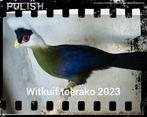 Witkuif toerako man 2022 -net kweekrijp, Dieren en Toebehoren, Vogels | Overige Vogels