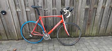 carrera blade xl beschikbaar voor biedingen