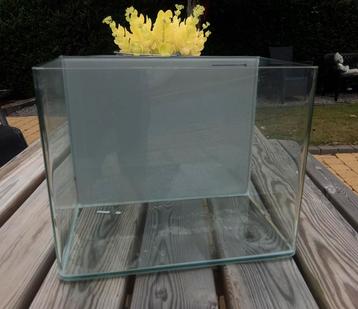 Aquarium (34x28x22) beschikbaar voor biedingen