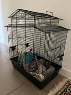 Parkieten / papegaaien kooi te koop aangeboden., Dieren en Toebehoren, Ophalen, Zo goed als nieuw