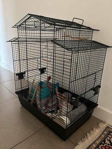 Parkieten / papegaaien kooi te koop aangeboden.   beschikbaar voor biedingen