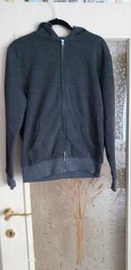 The Basics S C&A, Kleding | Heren, Truien en Vesten, Ophalen, Zo goed als nieuw, Grijs, C&A