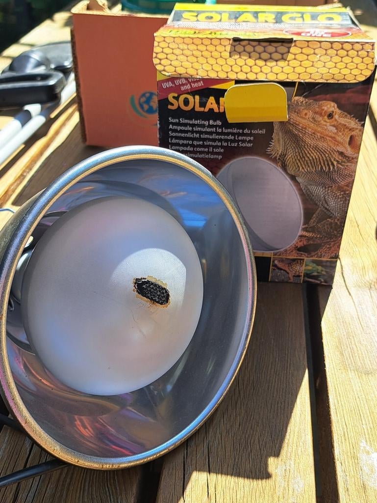 Accessoires pour terrariums pour reptiles, Enlèvement