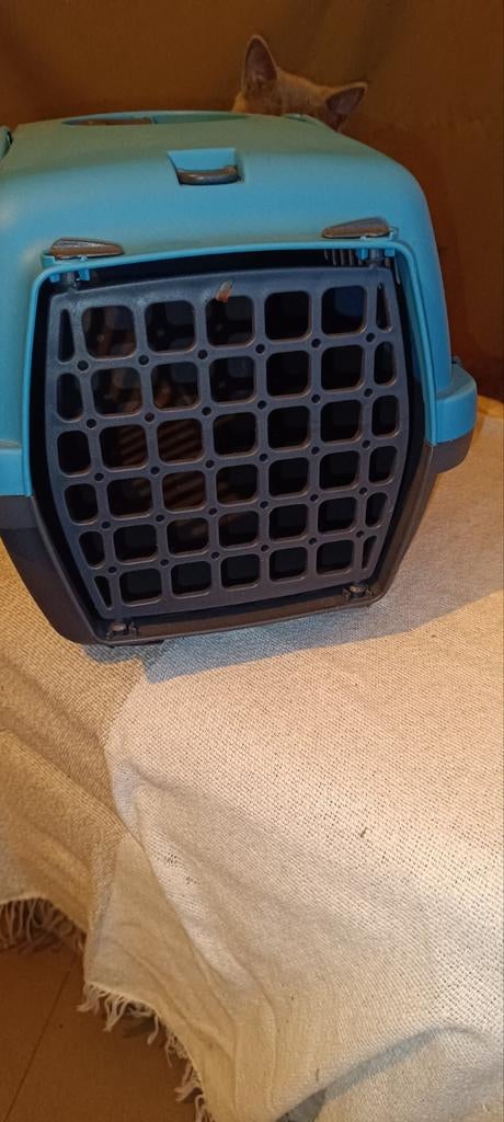 Transport pour chat ou petit animaux,bleue et gris foncé