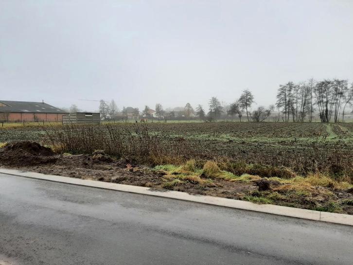 landbouwgrond 70 are Arendonk, Immo, Terrains & Terrains à bâtir, 1500 m² ou plus, Ventes sans courtier