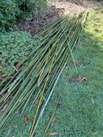 Bamboe stokken, Tuin en Terras, Ophalen