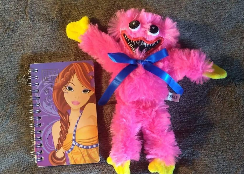 klein boekje Style Me Up samen met roze knuffel, Ophalen of Verzenden