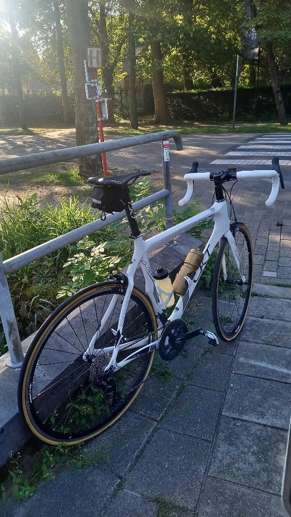 Vélo de course CKT blanc carbone, 10 à 15 vitesses, Enlèvement, 26 pouces, Autres marques