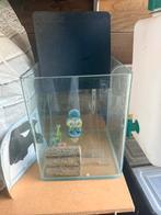 Aquarium, Ophalen, Zo goed als nieuw