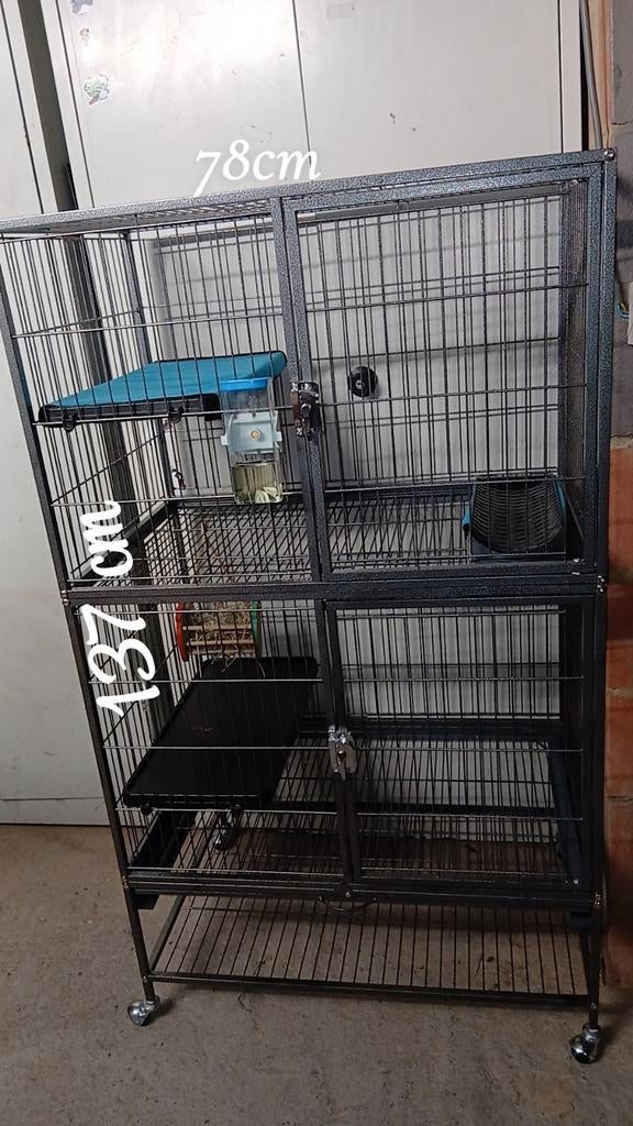 Cage pour rongeur, Animaux & Accessoires, Enlèvement ou Envoi, Neuf, Métal, Cage d'élevage