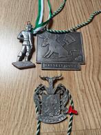 Carnaval medailles Hasselt, Ophalen of Verzenden