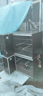 Kweekkooien, Ophalen