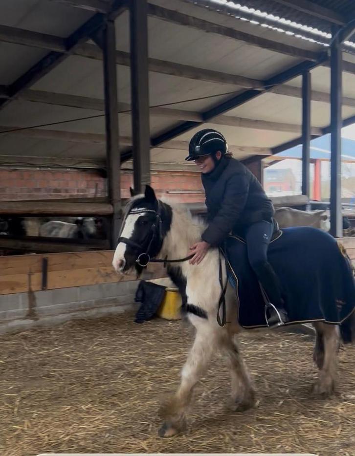Pony Tinker, Dieren en Toebehoren, Pony's, Merrie, Zadelmak, B pony (1.17m tot 1.27m), Recreatiepony, 7 tot 10 jaar, Gechipt
