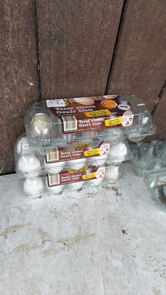 Broedeieren, Animaux & Accessoires, Enlèvement