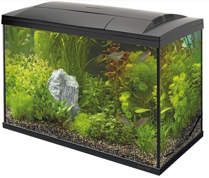 Aquarium SuperFish 150, Animaux & Accessoires, Poissons | Aquariums & Accessoires, Comme neuf, Aquarium vide, Chauffage, Superfish
