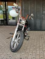 HD Softail standard, Motoren, Particulier