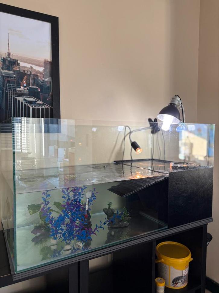 Waterschildpad met volledig aquarium, Dieren en Toebehoren, Vissen | Aquaria en Toebehoren, Zo goed als nieuw, Ophalen